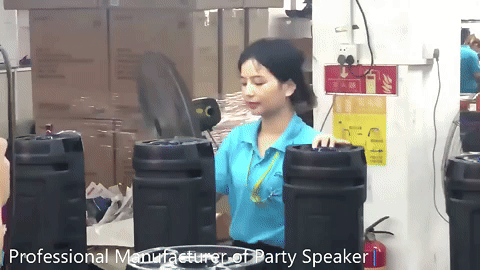 PARLANTE GRANDE + MICROFONO