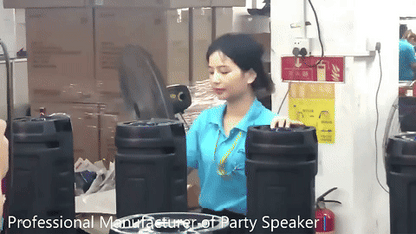 PARLANTE GRANDE + MICROFONO