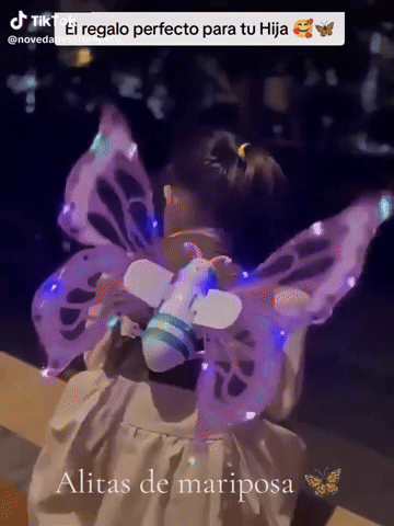 ALITA MARIPOSA